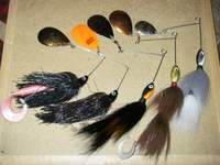 Click to expand / contract the width of this image