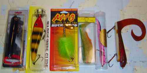 Click to expand / contract the width of this image