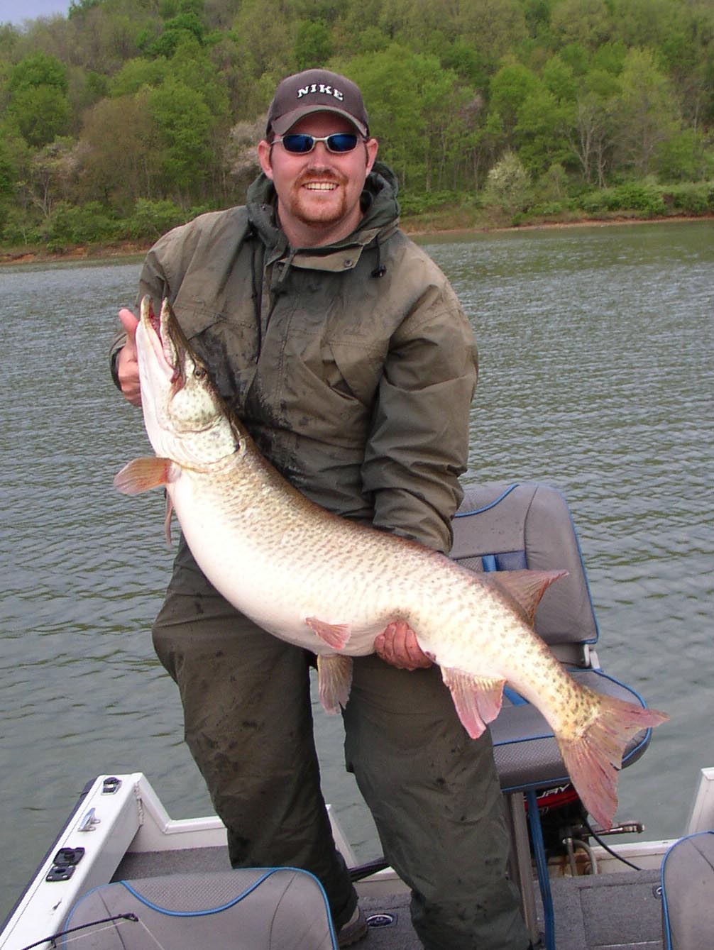 Click to expand / contract the width of this image