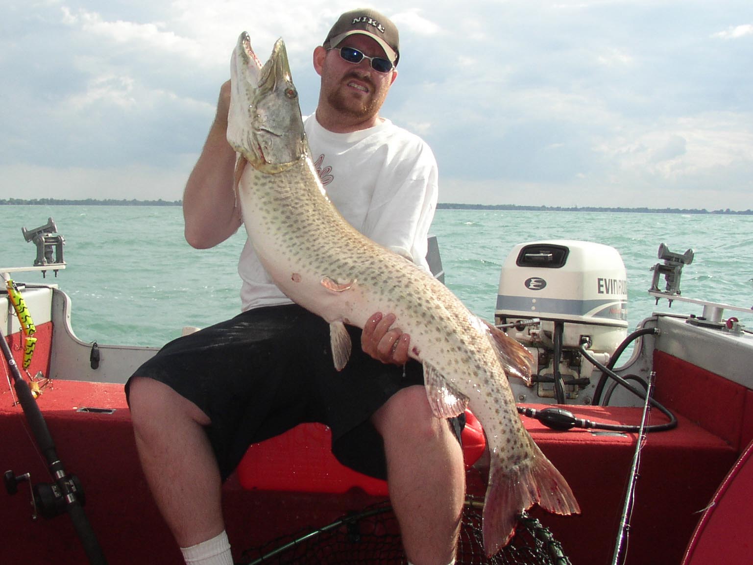 Click to expand / contract the width of this image