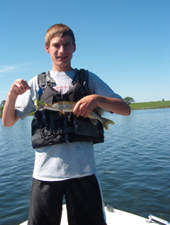 Click to expand / contract the width of this image