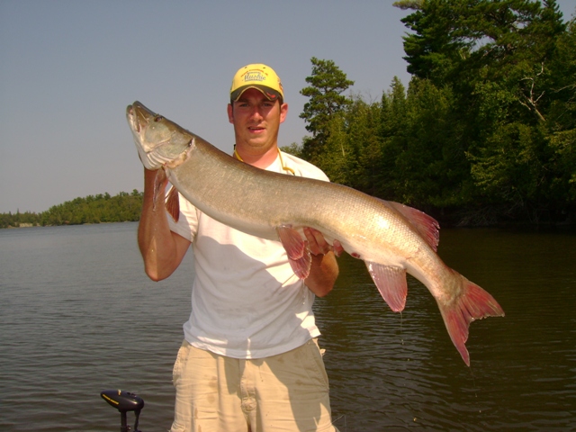 Click to expand / contract the width of this image