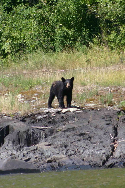 Click to expand / contract the width of this image