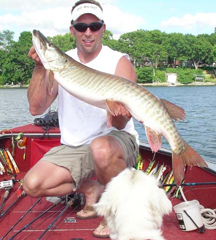 Click to expand / contract the width of this image