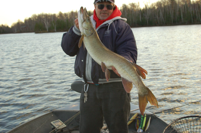 Click to expand / contract the width of this image