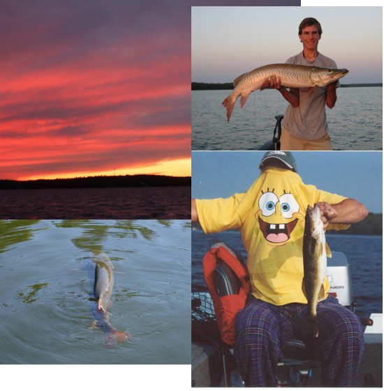 Click to expand / contract the width of this image