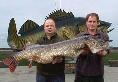 Click to expand / contract the width of this image