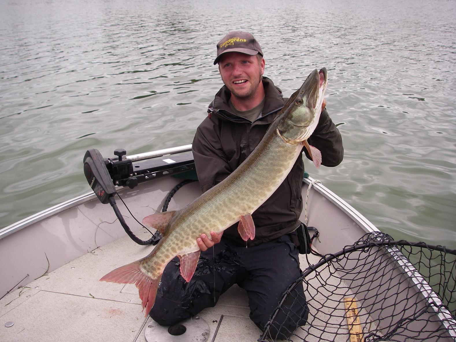 Click to expand / contract the width of this image