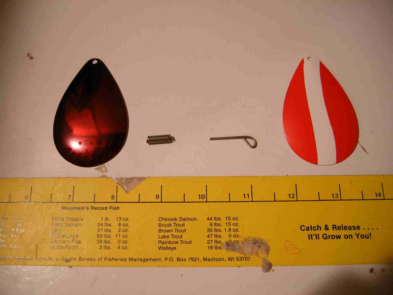 Click to expand / contract the width of this image