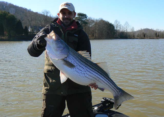 Click to expand / contract the width of this image