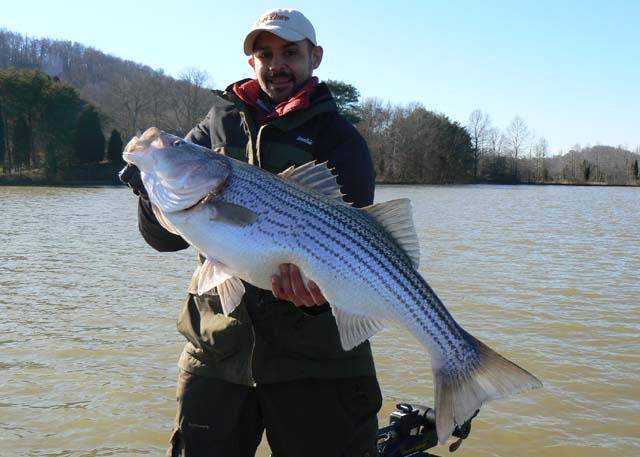 Click to expand / contract the width of this image