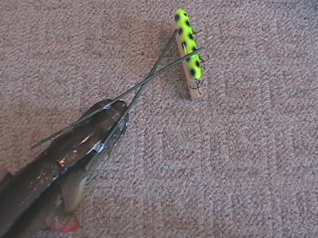 Click to expand / contract the width of this image