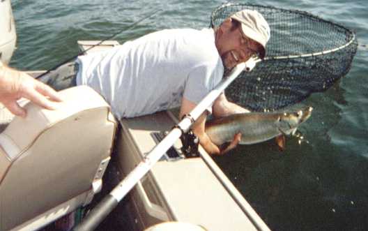 Click to expand / contract the width of this image