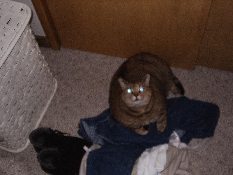 Click to expand / contract the width of this image