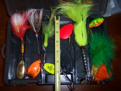 Click to expand / contract the width of this image