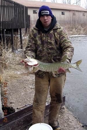 Click to expand / contract the width of this image