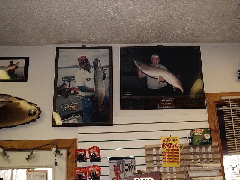 Click to expand / contract the width of this image