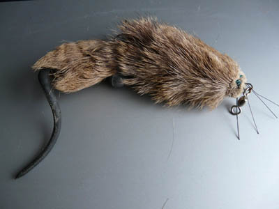 Click to expand / contract the width of this image