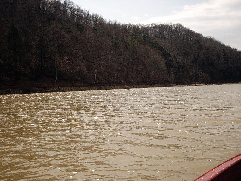 Click to expand / contract the width of this image