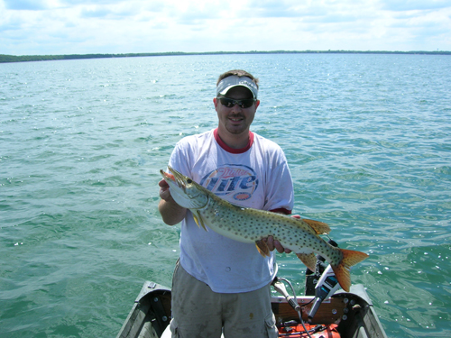 Click to expand / contract the width of this image