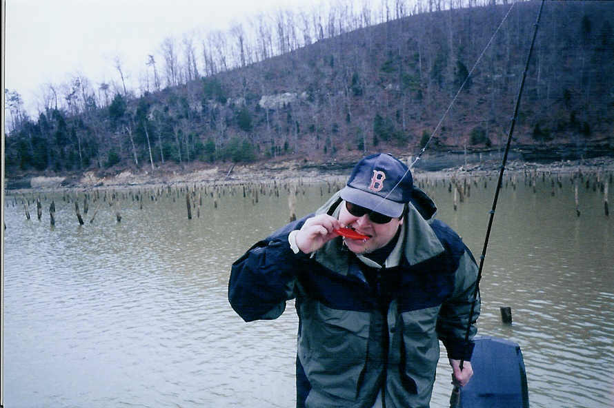 Click to expand / contract the width of this image