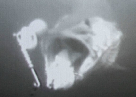 Click to expand / contract the width of this image