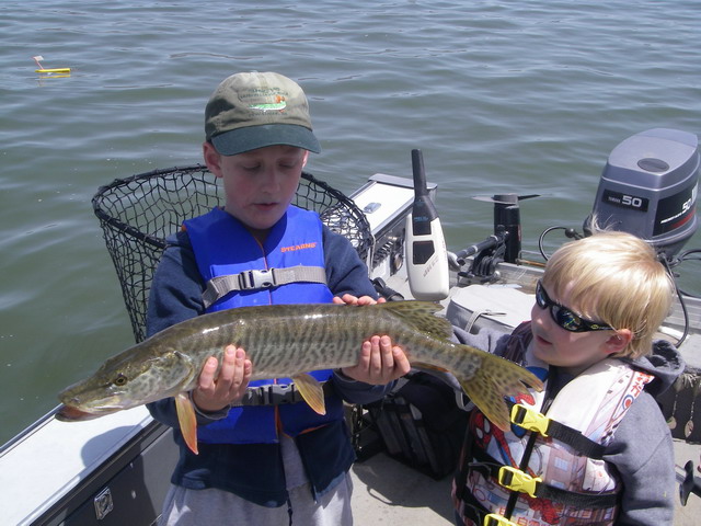 Click to expand / contract the width of this image