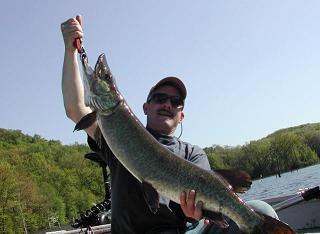 Click to expand / contract the width of this image