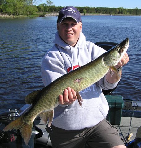 Click to expand / contract the width of this image