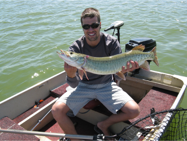 Click to expand / contract the width of this image