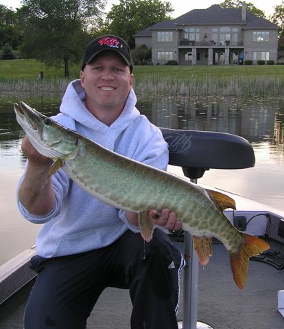 Click to expand / contract the width of this image