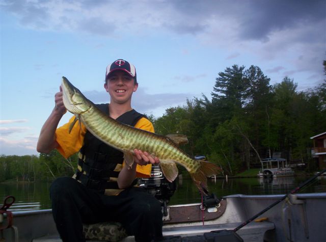 Click to expand / contract the width of this image