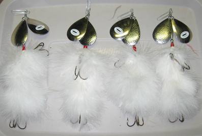 Click to expand / contract the width of this image