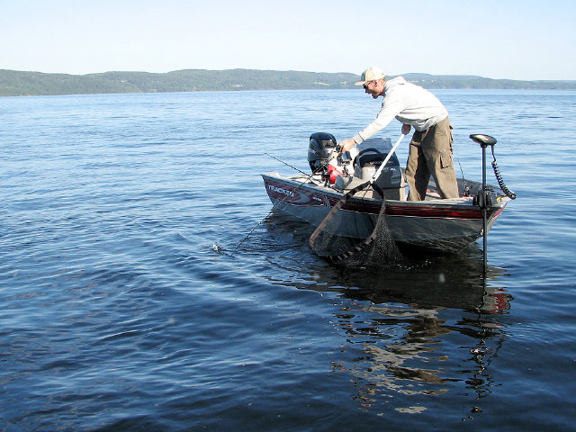 Click to expand / contract the width of this image