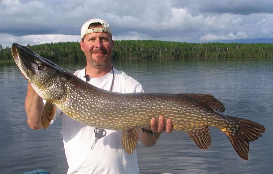 Click to expand / contract the width of this image