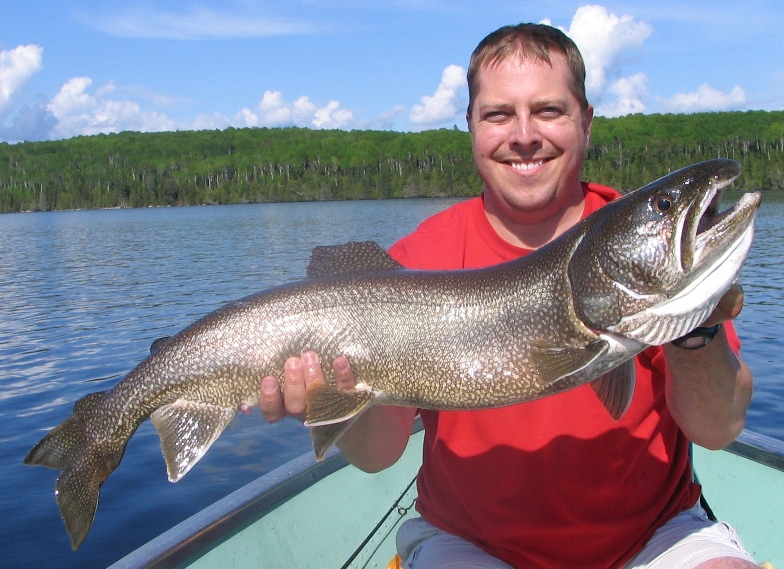 Click to expand / contract the width of this image