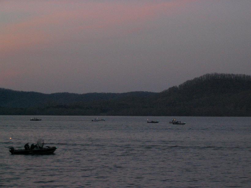 Click to expand / contract the width of this image