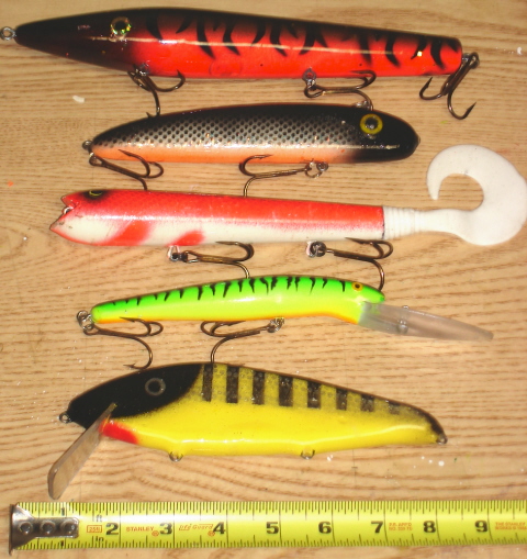 Click to expand / contract the width of this image