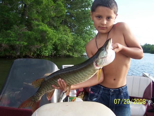 Click to expand / contract the width of this image