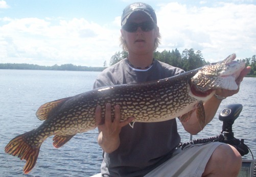 Click to expand / contract the width of this image