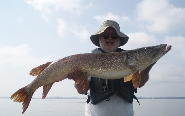 Click to expand / contract the width of this image