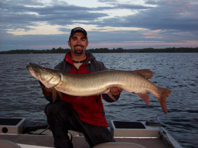 Click to expand / contract the width of this image