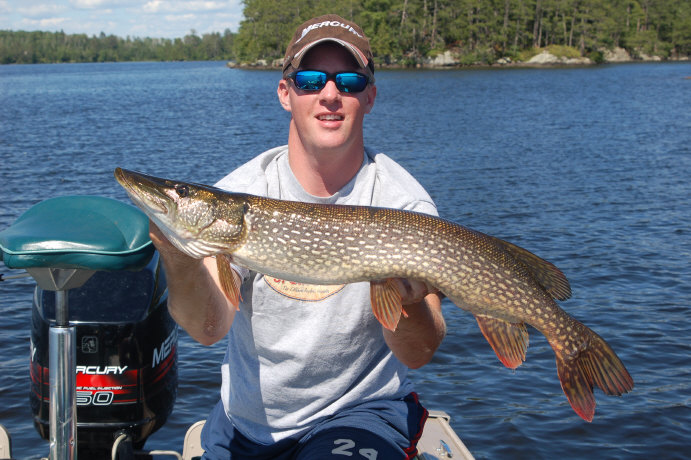 Click to expand / contract the width of this image