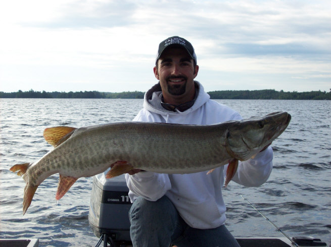 Click to expand / contract the width of this image