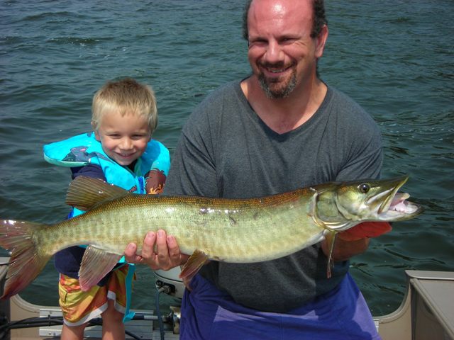 Click to expand / contract the width of this image