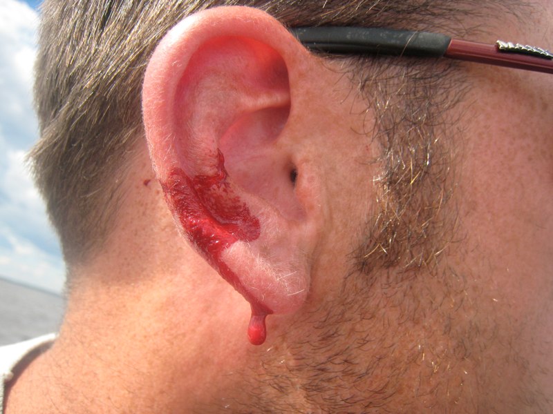 Click to expand / contract the width of this image