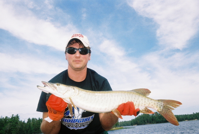 Click to expand / contract the width of this image