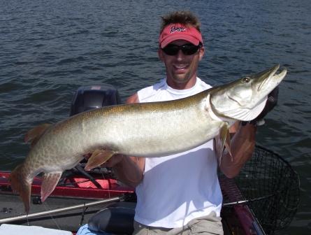 Click to expand / contract the width of this image