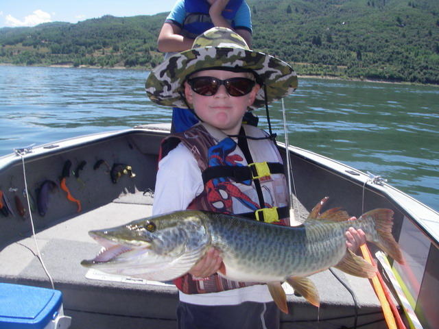 Click to expand / contract the width of this image