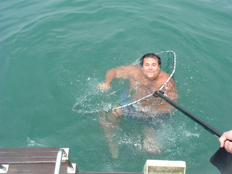 Click to expand / contract the width of this image